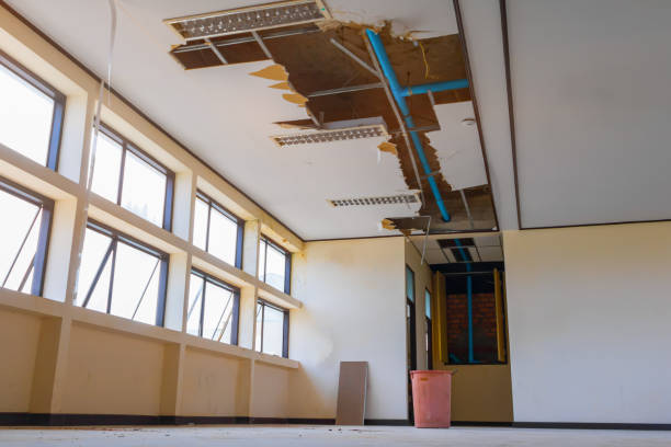 Best Water damage contractors near me  in Abram, TX