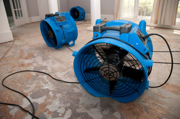 Best 24/7 water damage repair  in Abram, TX