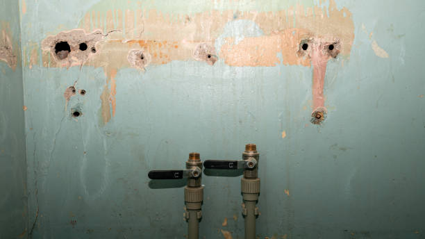 Best 24-hour water damage restoration  in Abram, TX
