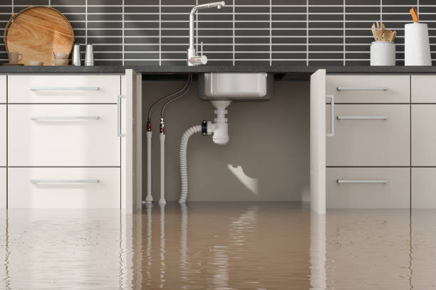 Best Flood damage cleanup  in Abram, TX
