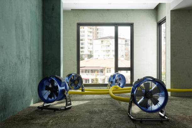 Best Water damage cleanup near me  in Abram, TX