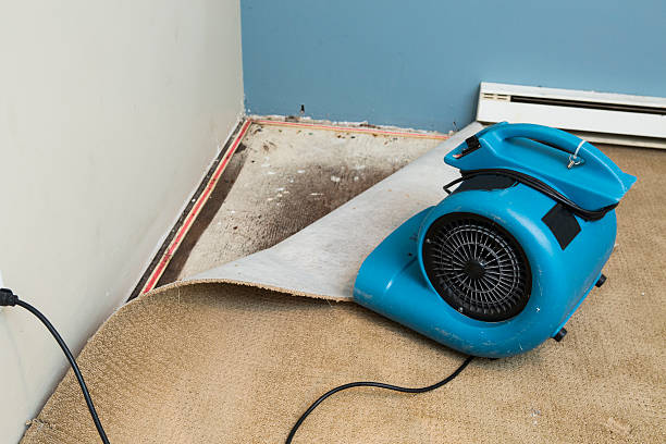  Abram, TX Water damage restoration Pros